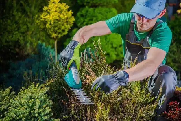 landscaping services Killona
